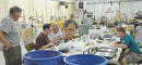 Week Long Pen Making Class  7/13-18, 2026